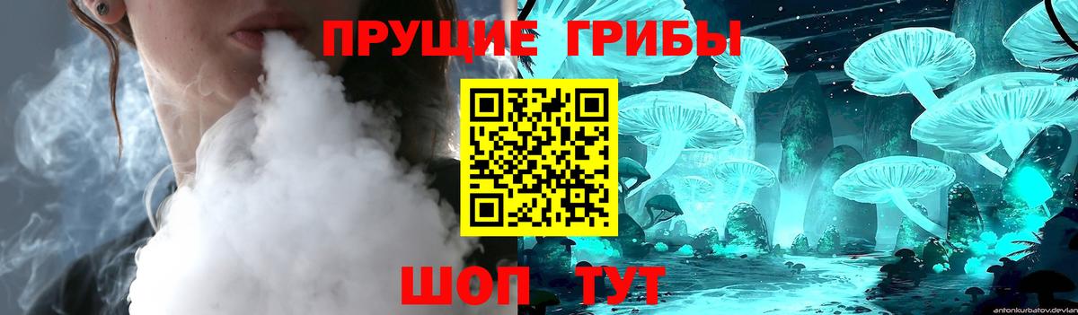 Псилоцибиновые грибы мицелий  Вход с VPN  наркотики  Видное 